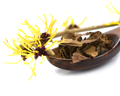 Woda kwiatowa (hydrolat) z kwiatów oczaru -organiczny