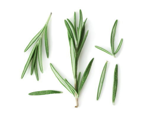 Olejek rozmarynowy, naturalny