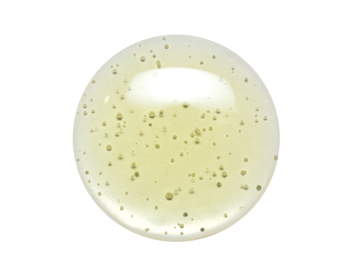 Organiczna baza szamponowa