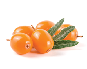 Sanddornöl, nicht raffiniert, organic