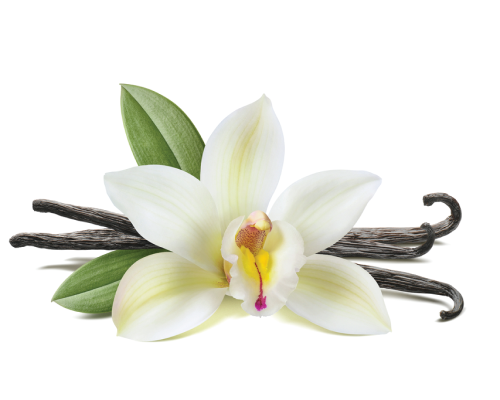 Olejek zapachowy waniliowy