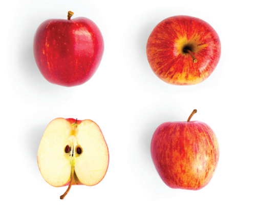 Roślinne Komórki Macierzyste