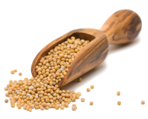 Weißes Senföl, nicht raffiniert