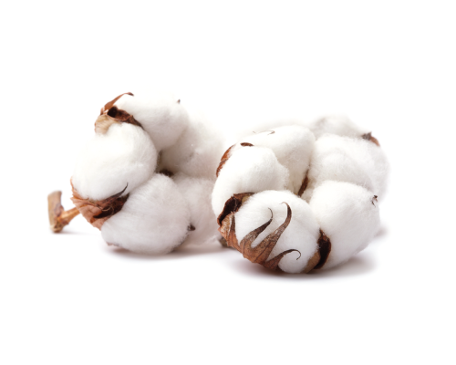 Olej z nasion bawełny rafinowany