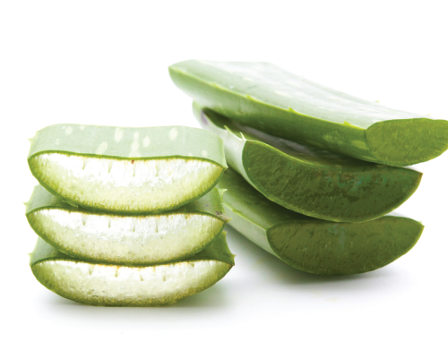 Ekstrakt z aloesu zatężony 200:1, proszek Organic