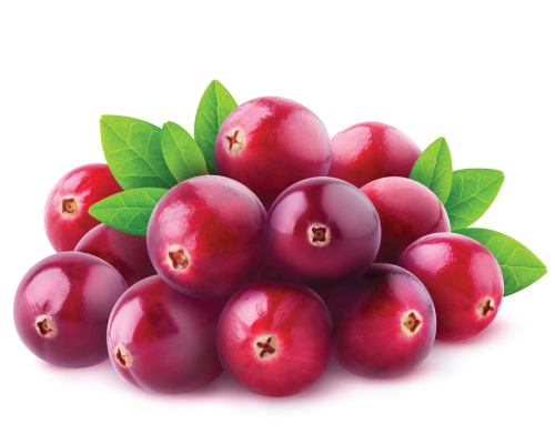 Liposom white - aktywne rozjaśnianie-wybielanie