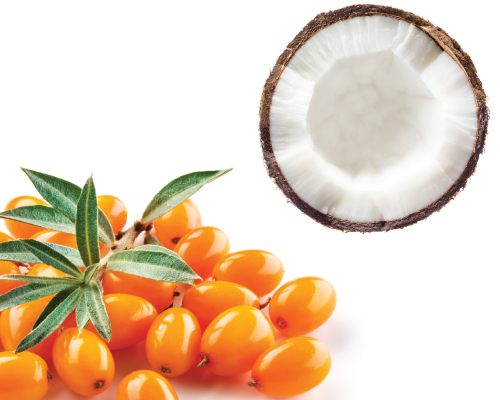 Olej kokos-rokitnik nierafinowany