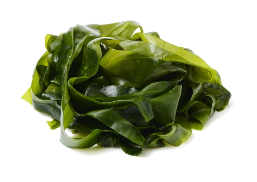 ALGA WAKAME (Undaria pinnatifida)