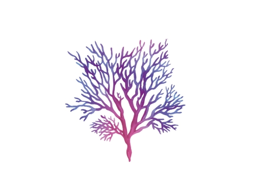 Tęczowa alga - rozjaśnianie