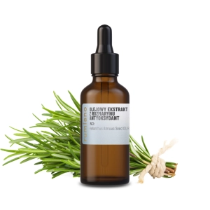 Rosmarin-Ölextrakt - Antioxidant